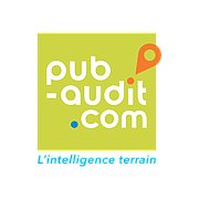 Logo of Pub-audit.com